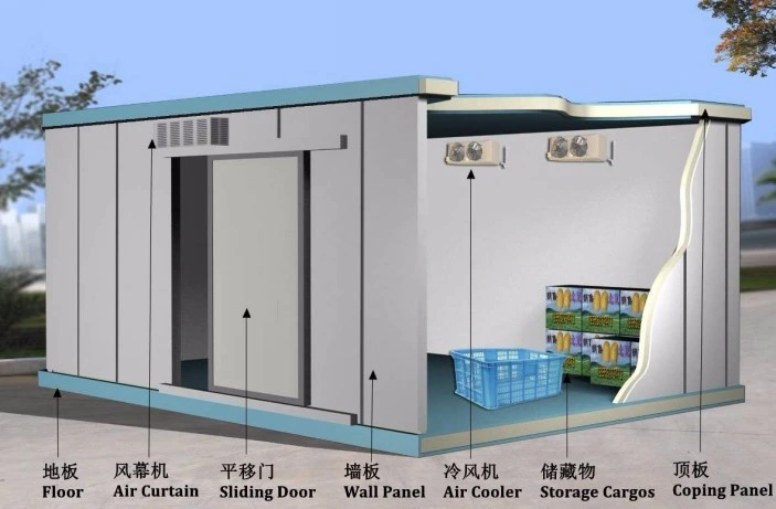 Container Cold Room for Frozen Food