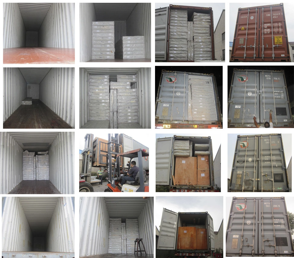 Container Cold Room for Frozen Food
